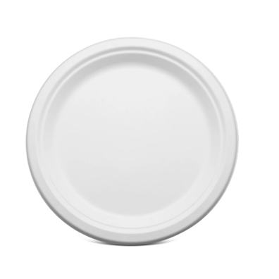 Đĩa bã mía phân hủy sinh học KOKUSAI 10IN - 180480