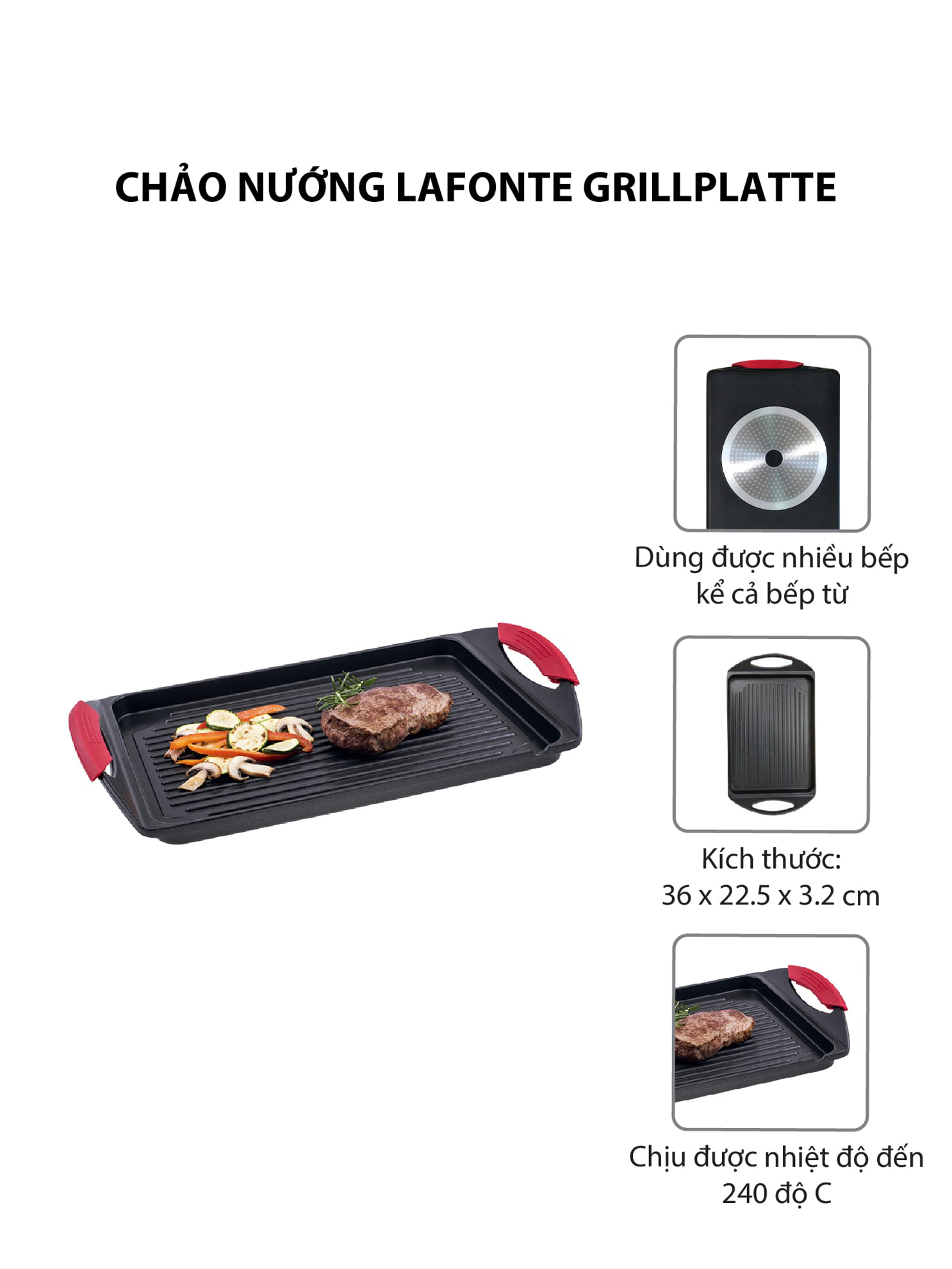 CHẢO NƯỚNG LAFONTE GRILLPLATTE 42x27cm - 53000846